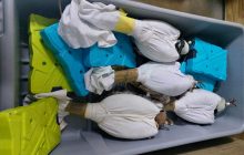 Обмотав клейкою стрічкою: українець намагався вивезти до Катару чотирьох соколів (відео)