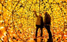 Без COVID: у Данії проходить найбільший фестиваль світла в Європі (фоторепортаж, відео)