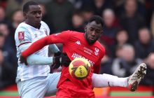 Живодер: звездный партнер Ярмоленко по Вест Хэму избил своего кота (видео)