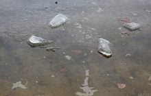 В Винницкой области 11-летняя девочка полчаса держала братика над водой, чтобы он не утонул (видео)