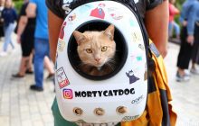 Что можно взять в ручную кладь: украинский авиаперевозчик дал полезные советы