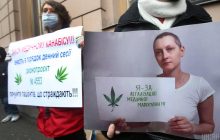 Радуцкий рассказал о новом законопроекте о легализации медицинского каннабиса в Украине