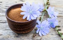 Замість кави: користь і шкода цикорію, як правильно заварювати