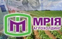 Компания Dragon Capital и банк Credit Suisse помогли обмануть инвесторов агрохолдинга "Мрия" - расследование OCCRP