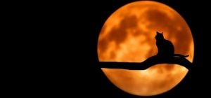 Четырем знакам Зодиака Вселенная готовит подарки в полнолуние: что их ждет