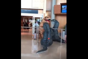 Бабушка в долгу не осталась: на видео попала веселая встреча женщины с внуками в аэропорту