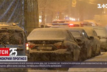 Погода в Украине: во всех регионах ожидается дождь и снег