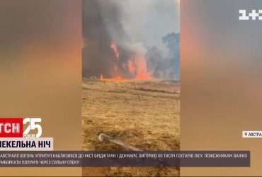 В Австралии выгорело более 60 тысяч гектаров леса