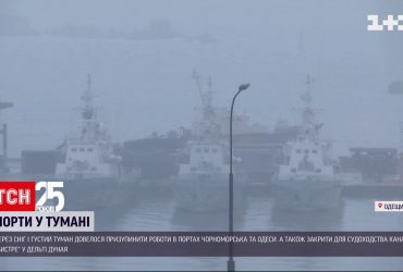 Из-за тумана и снега в портах Одессы и Черноморска приостановлены грузовые работы