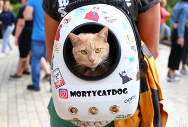 Что можно взять в ручную кладь: украинский авиаперевозчик дал полезные советы