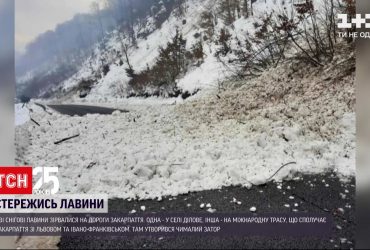 На дороги Закарпатья сорвались сразу две снежные лавины