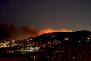 В Калифорнии вспыхнул масштабный лесной пожар: началась эвакуация (фоторепортаж, видео)