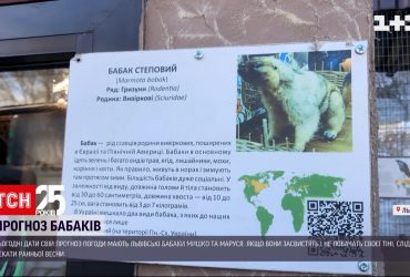 Львовские сурки Миша и Маруся сегодня покажут, следует ли ждать ранней весны