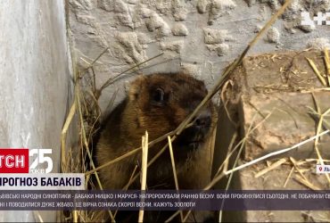 Львовские сурки предрекли раннюю весну