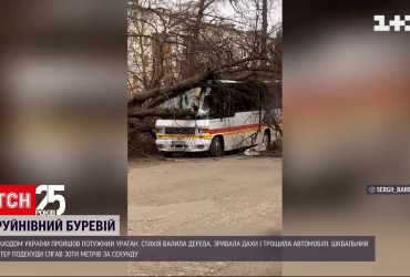 Поваленные деревья и сорванные крыши: на Запад Украины налетела непогода