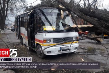 В Украине 90 населенных пунктов остаются без света из-за непогоды