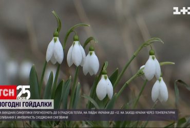 Погода в Украине: температура на выходных будет достигать +12 - появятся первые подснежники
