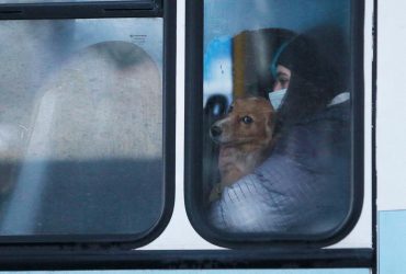 КПП повинні бути відкриті для пропуску охочих залишити ЛДНР - нардеп