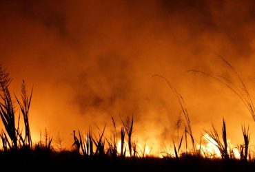 У п'яти областях України оголошена надзвичайна пожежна небезпека (карта)