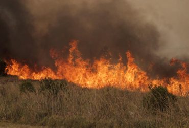 У  трьох областях України синоптики оголосили червоний рівень небезпеки (список)