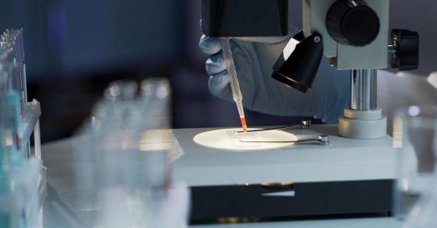 У Румунії вперше за 40 років виявили страшну середньовічну хворобу