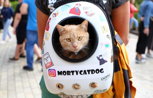 Что можно взять в ручную кладь: украинский авиаперевозчик дал полезные советы