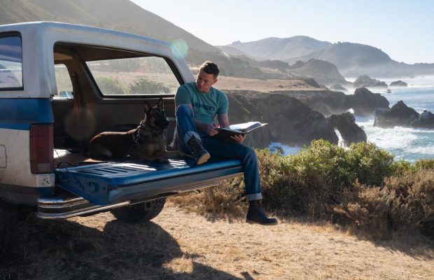 Что посмотреть на выходных: трогательный "Дог", дерзкое "Удовольствие" и новые "Викинги"