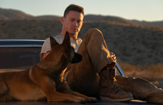 Трогательная комедия "Дог": все, что известно о режиссерском дебюте Ченнинга Татума
