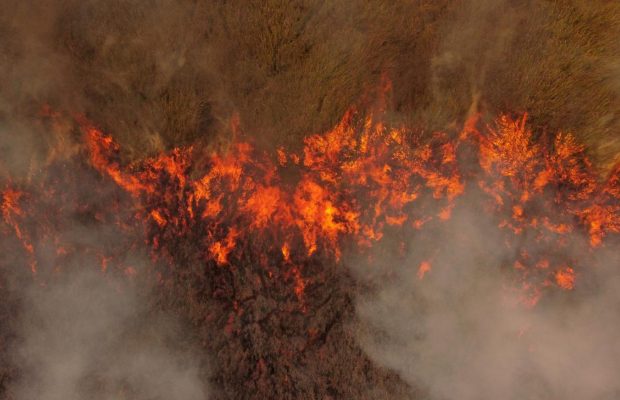 Біля популярного турецького курорту спалахнули масштабні пожежі (відео)