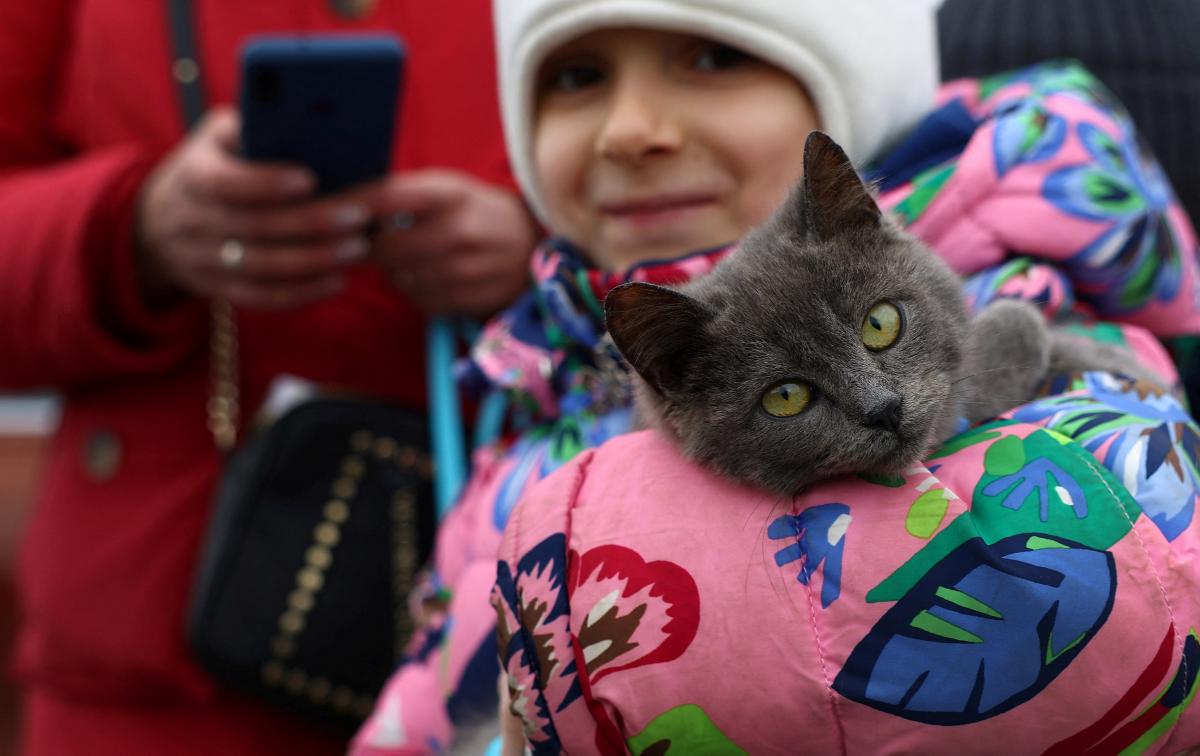 Желание воссоединиться с семьей-это еще один важный фактор / фото REUTERS Желание воссоединиться с семьей-это еще один важный фактор / фото REUTERS
