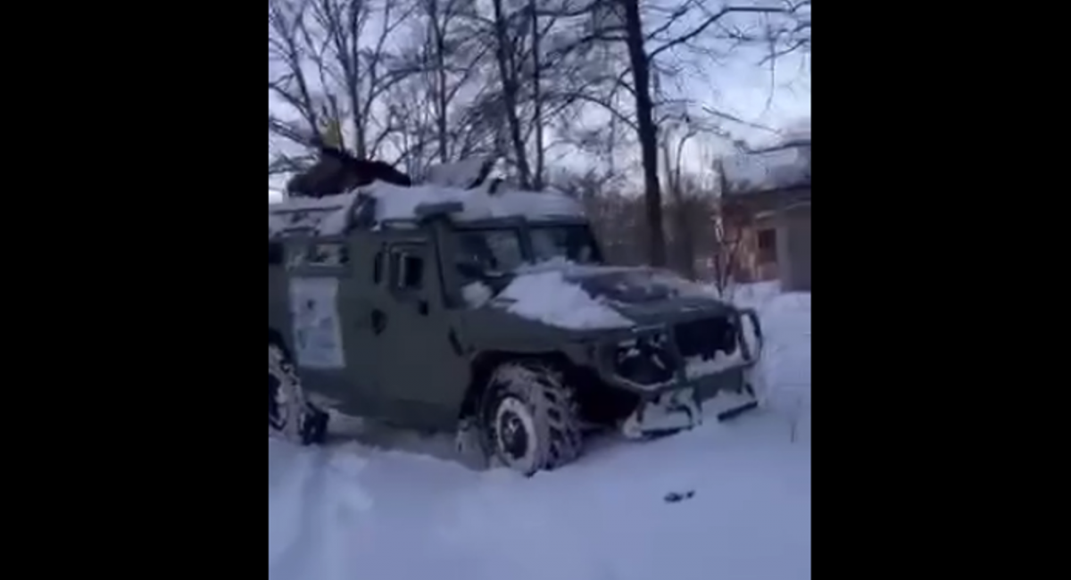 скріншот скріншот