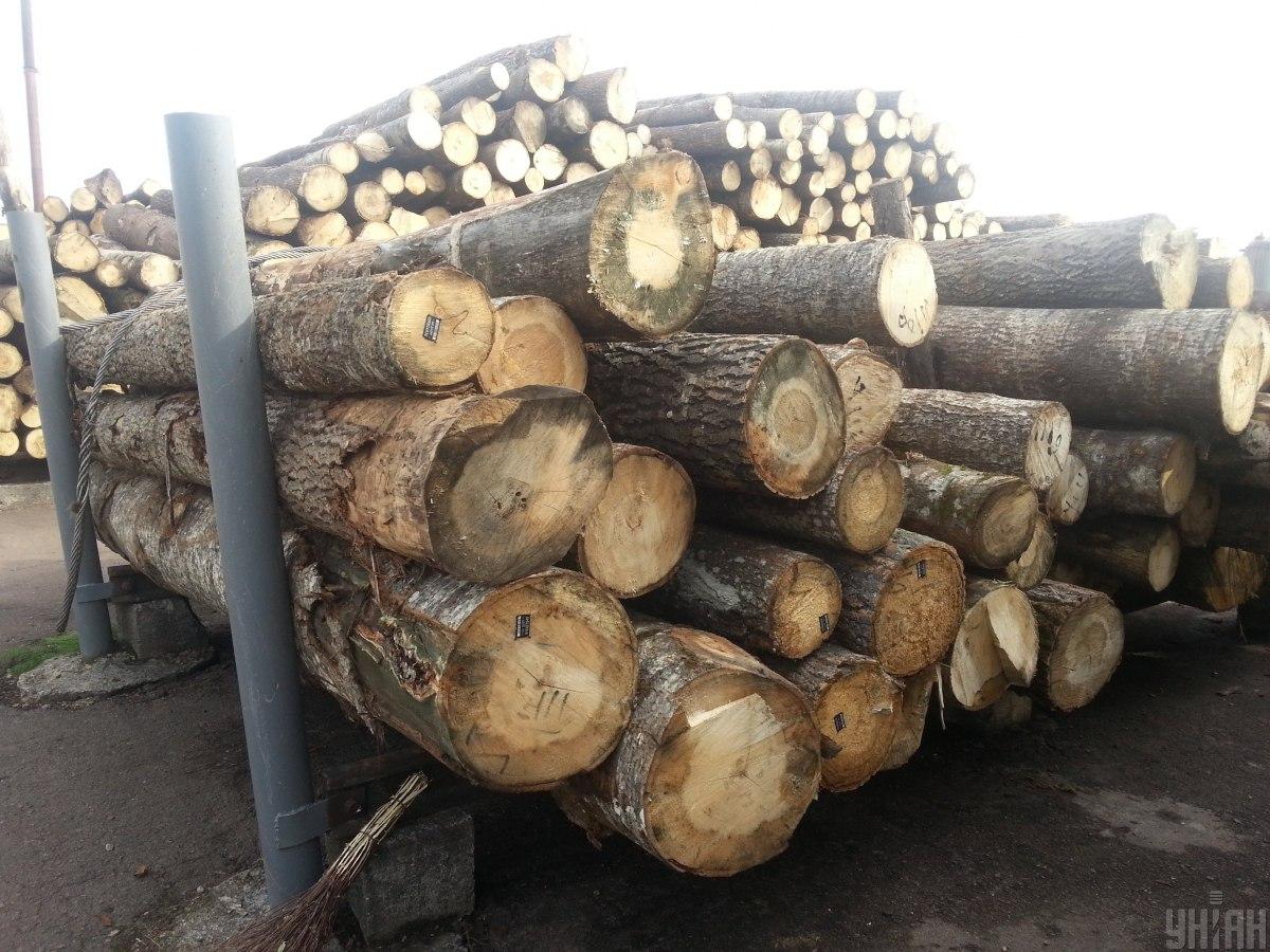 Пока в Украине идет война, древесина РФ и Белоруссии не может быть продана ни в одной точке мира, отметили в Кабмине / фото УНИАН