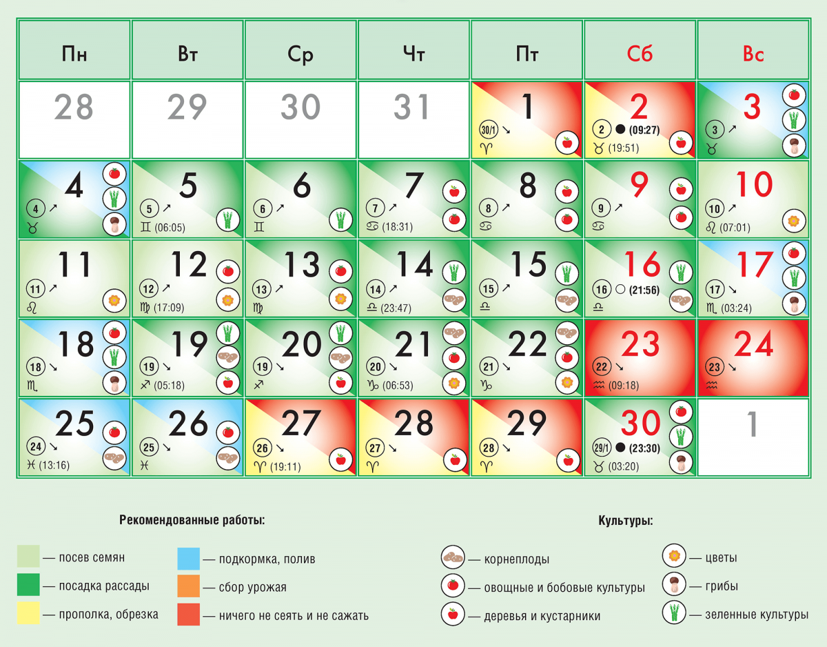 Лунный посевной календарь на апрель 2022 год: таблица / Сад и огород 24