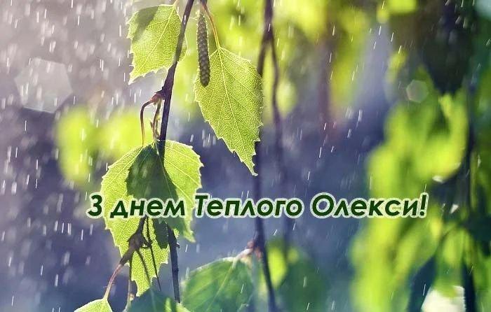 З Днем Олексія Теплого 2022 / telegraf.com.ua З Днем Олексія Теплого 2022 / telegraf.com.ua