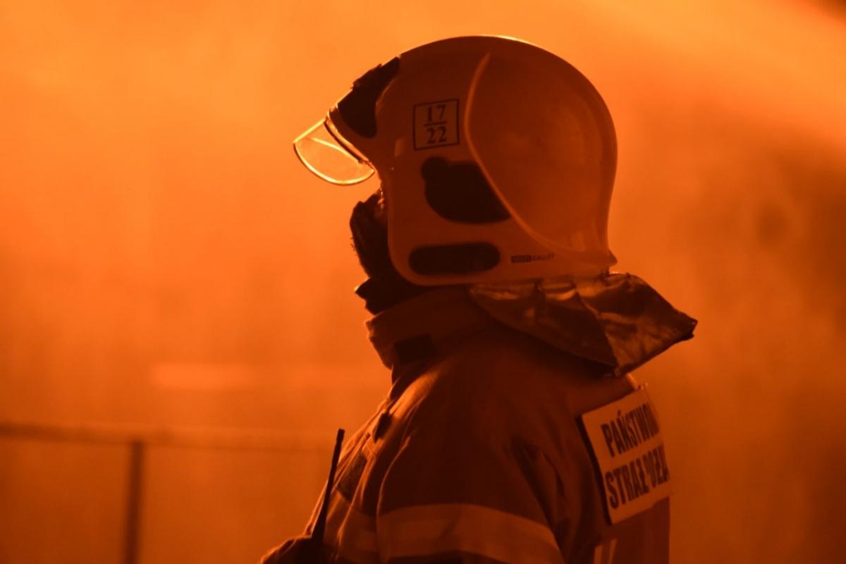 Пожар произошел 2 июля, в селе Алексеевка Софиевской поселковой территориальной общины Криворожского района / фото ГСЧС