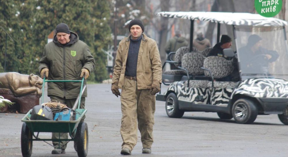 Стало известно, как переживает войну киевский зоопарк