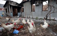 "Варвары ХХІ века": у Зеленского рассказали о "подвигах" российских военных в Украине