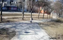 Падение обломков сбитой ПВО Украины российской ракеты в Киеве попало на видео