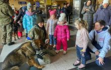 У Києві кінологи з собаками допомагають дітям пережити стрес (фото)