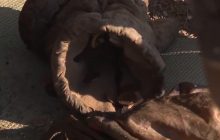 "За мелочью приехал": украинские военные показали награбленные оккупантами "сокровища"