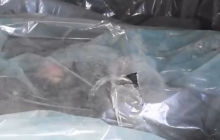 Під Миколаєвом десятки трупів росіян гниють у пакетах, РФ вони не потрібні (відео)