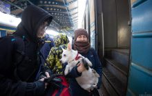 В "Укрзализныце" рассказали, как вокзалы Киева будут работать во время долгого комендантского часа