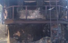 Окупанти обстріляли сімейний екопарк "Ясногородка" – загинула частина тварин