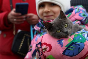 Польща зменшує підтримку біженців: що зміниться