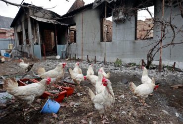 Варвары ХХІ века: у Зеленского рассказали о подвигах российских военных в Украине