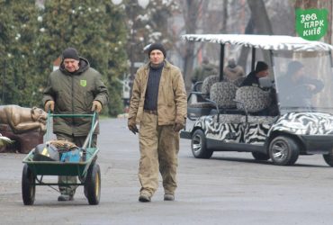 Стало відомо, як переживає війну Київський зоопарк (фоторепортаж)