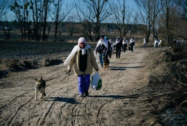 Кто принимает беженцев из Украины: список стран и путей эвакуации