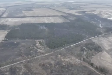 Позиции россиян в лесу под Киевом попали под разнос (видео)