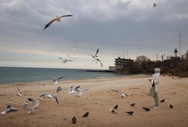 В Одесской области экологи обнаружили факт замора рыбы