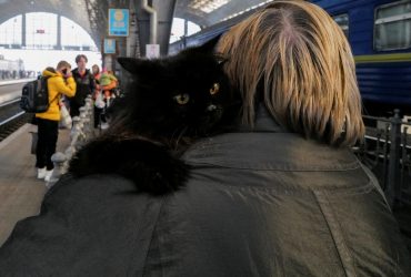 У Кабміні попередили про нову хвилю переміщень українців зі сходу на захід та назвали причину